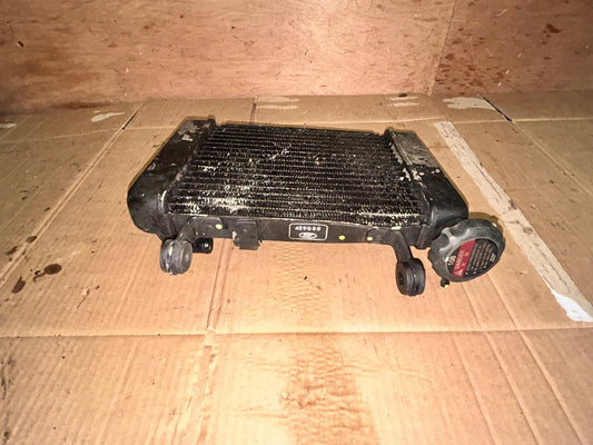 2009 Honda CBR 125 Radiator