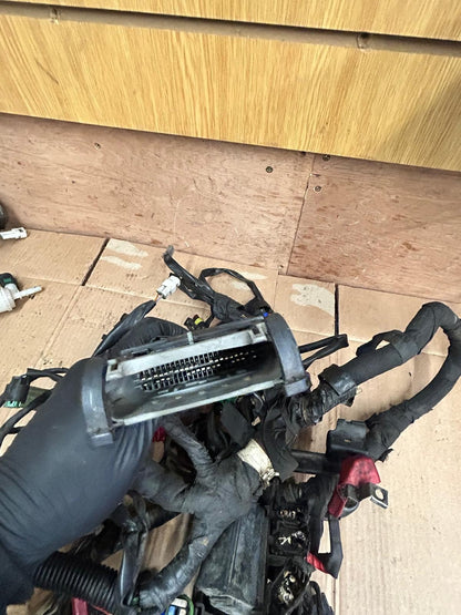2019 KTM Duke 125 Wiring Loom Harness