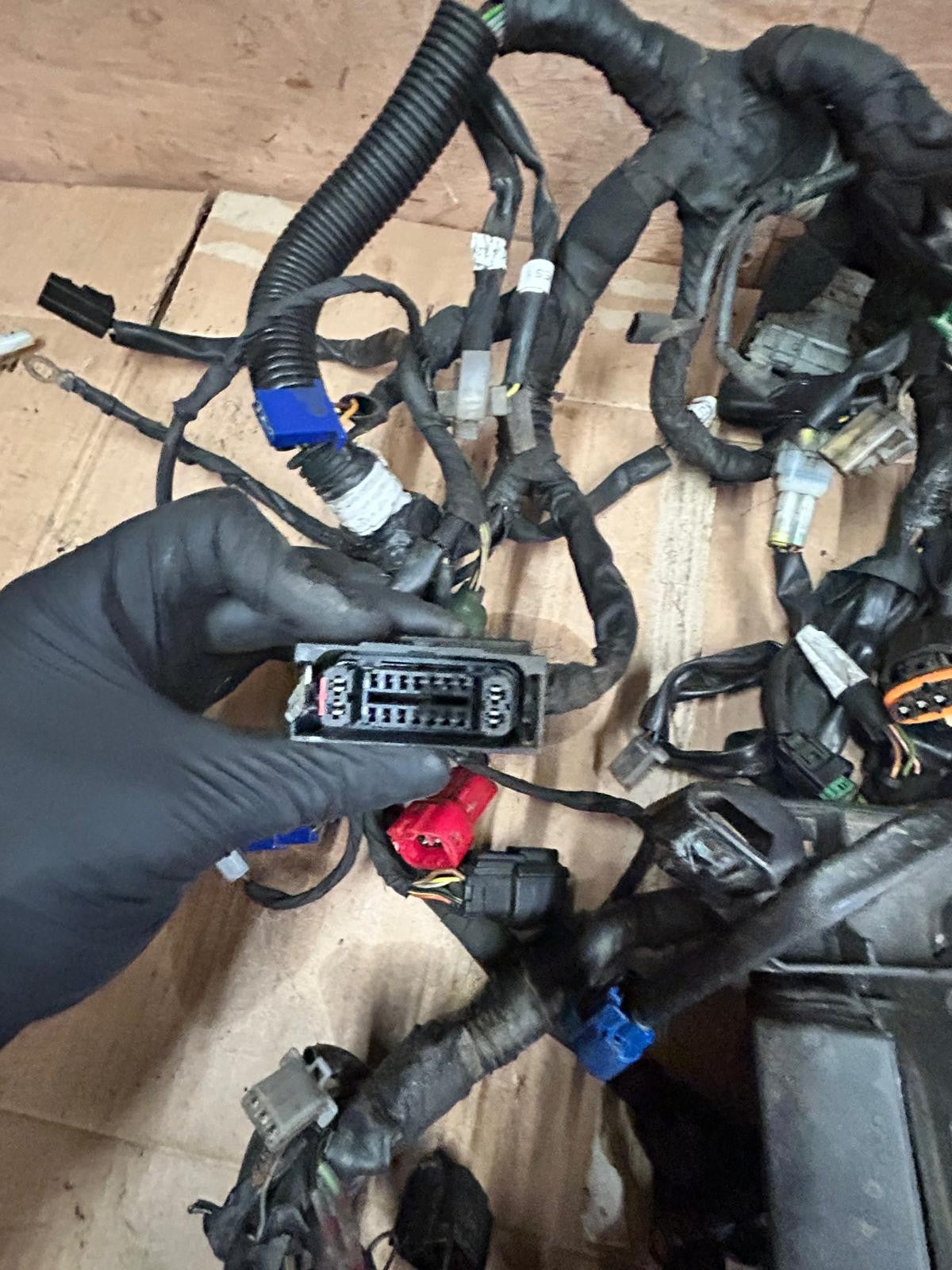 2019 KTM Duke 125 Wiring Loom Harness