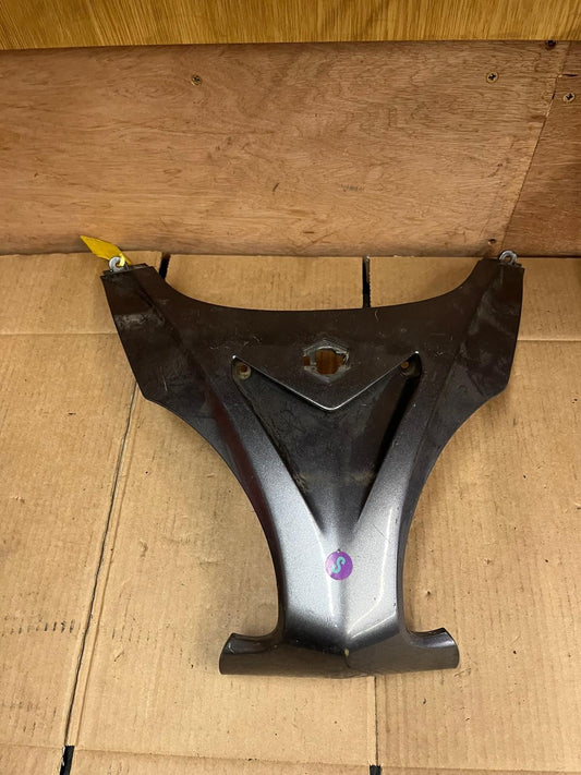 OEM 2005 - 2007 Piaggio X9 Front Shield | 620431