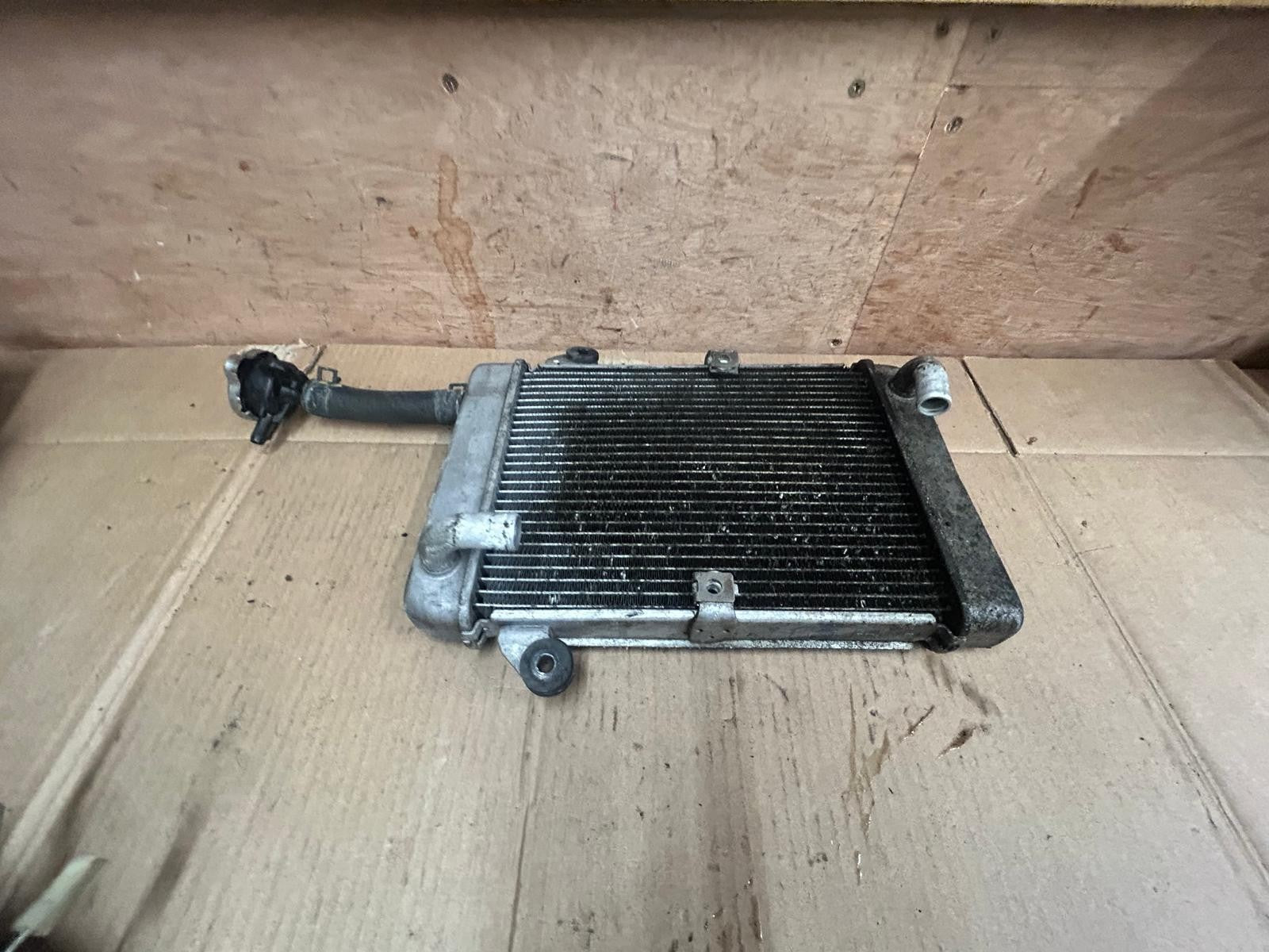 2019 Honda SH300 Engine Cooling Radiator