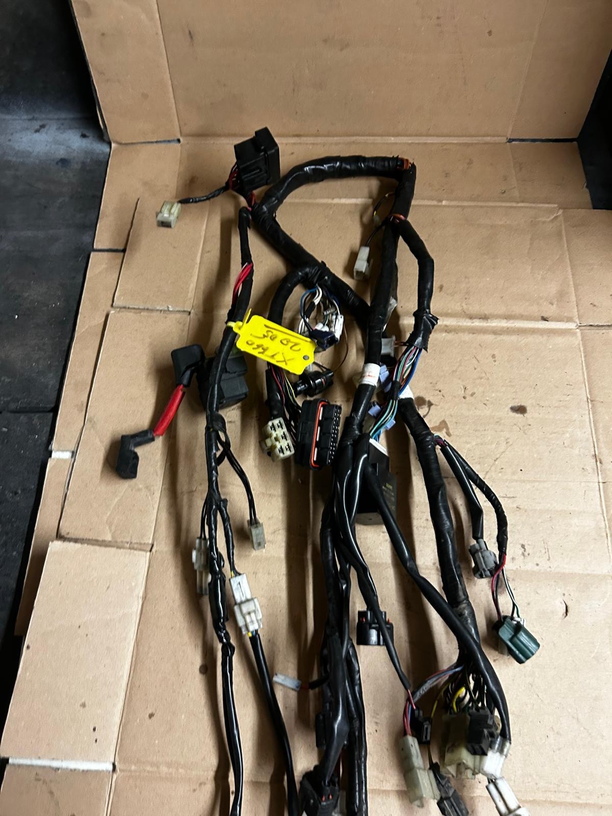 2005 Yamaha XT660 Wire Harness Wiring Loom