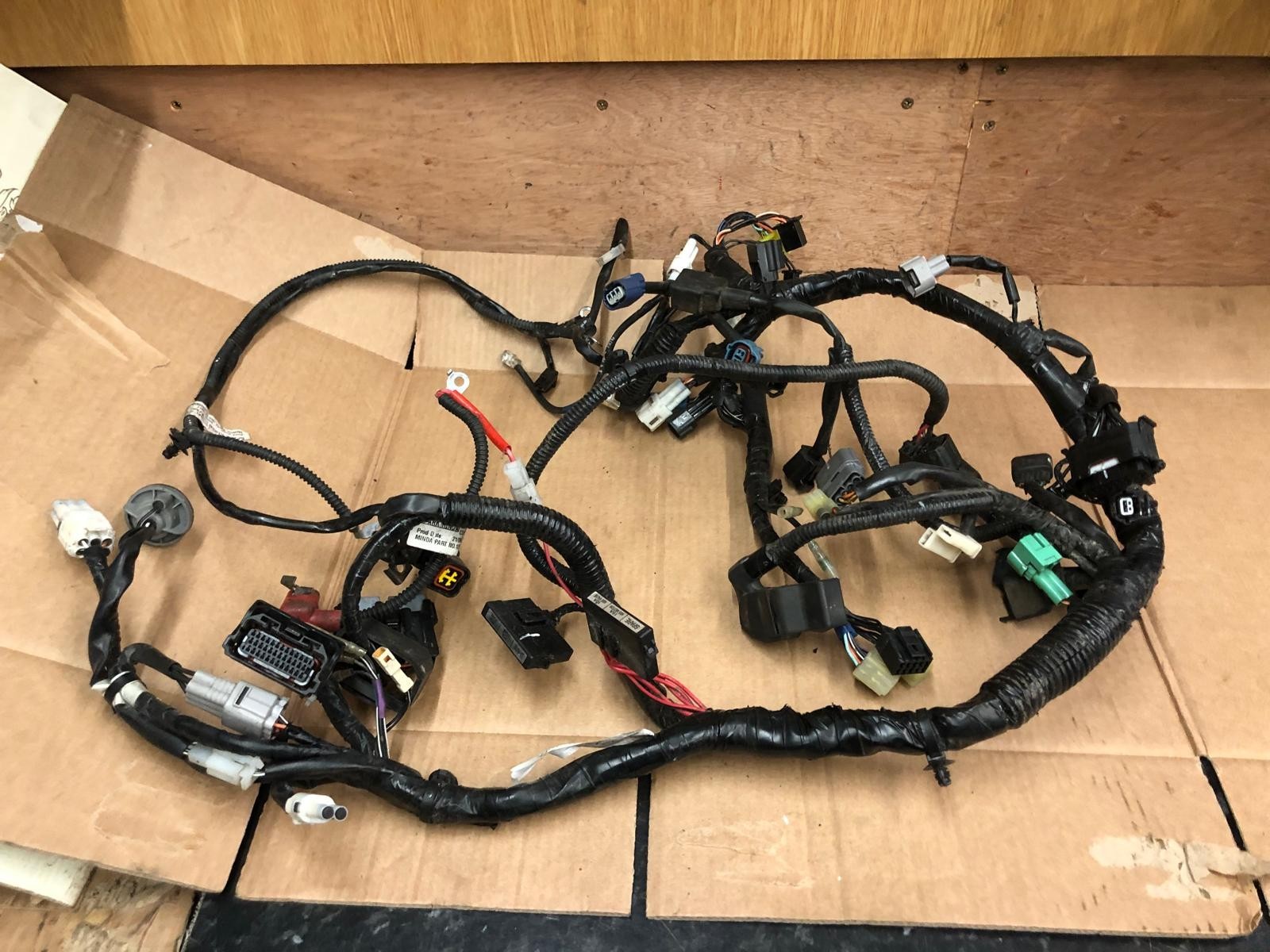 2019 Suzuki GSXR 125 Main Wiring Loom