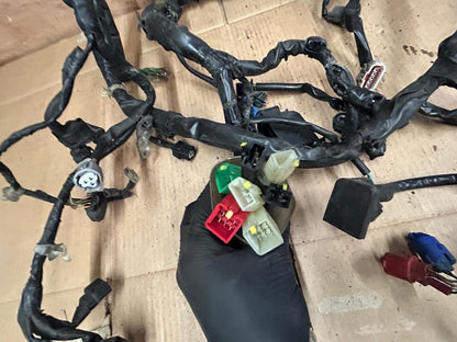 2019 Honda SH300 Wiring Loom Harness | 32100-K53-DH01