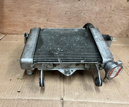 2019 Suzuki GSXR 125 Cooling Radiator