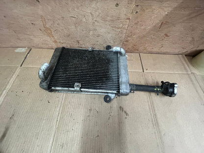 2019 Honda SH300 Engine Cooling Radiator