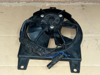 SPAL Radiator Cooling Fan | 032749