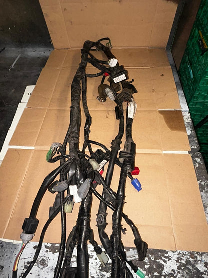 2013 Honda NC 750 Wiring Loom