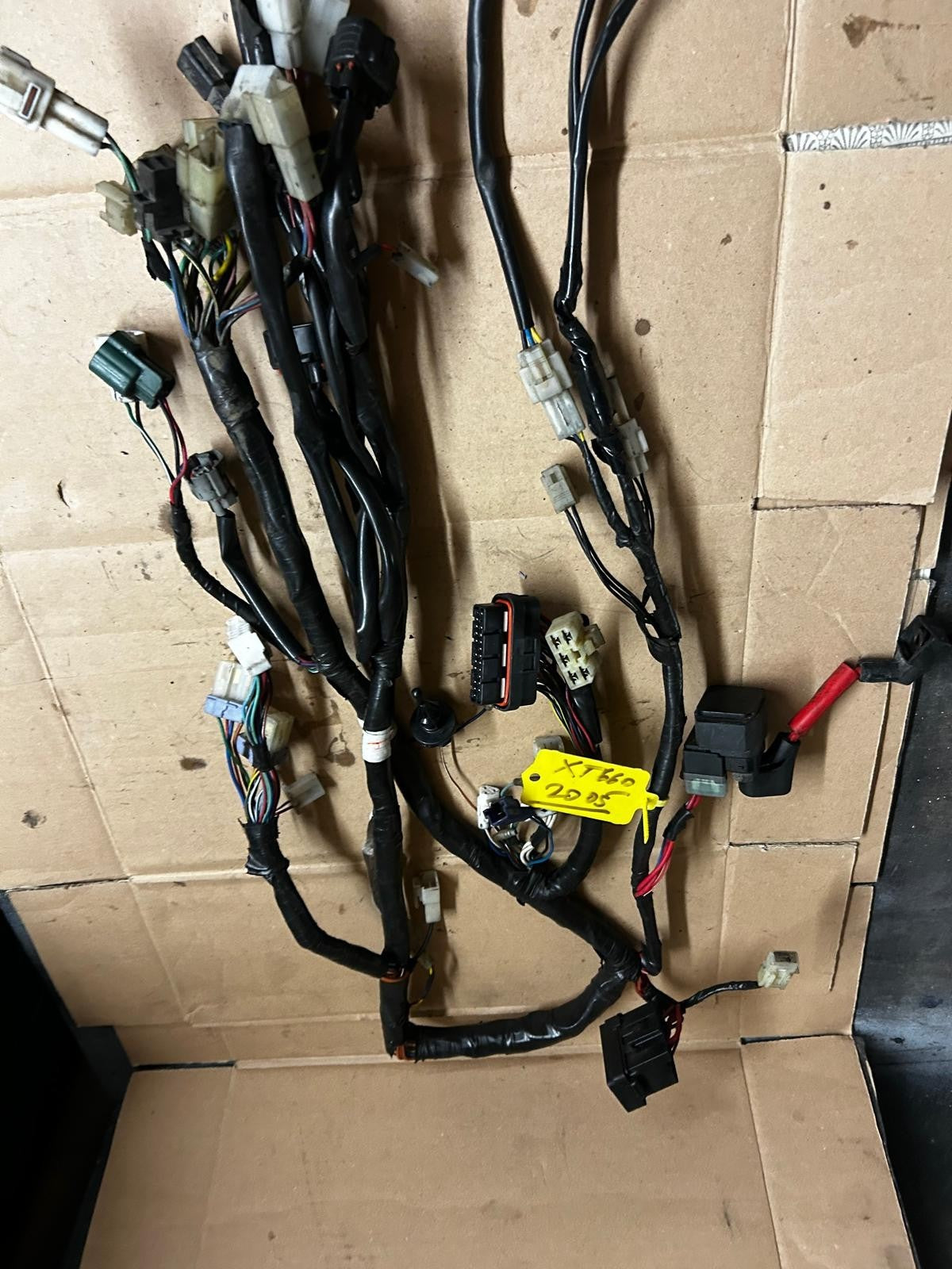 2005 Yamaha XT660 Wire Harness Wiring Loom
