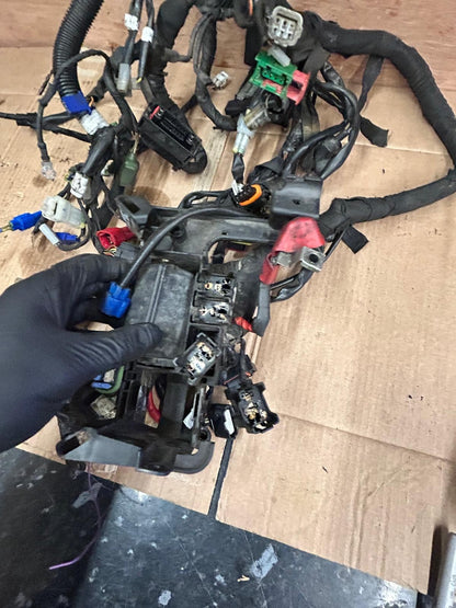 2019 KTM Duke 125 Wiring Loom Harness