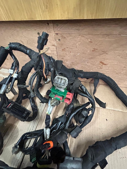 2019 KTM Duke 125 Wiring Loom Harness