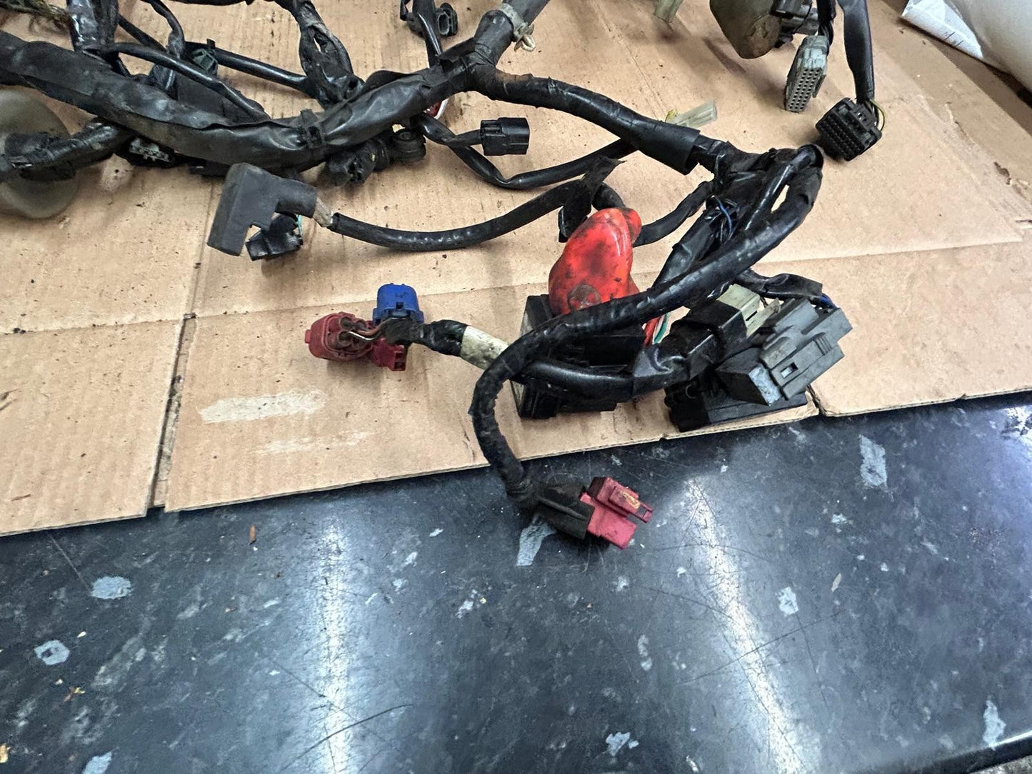 2019 Honda SH300 Wiring Loom Harness | 32100-K53-DH01
