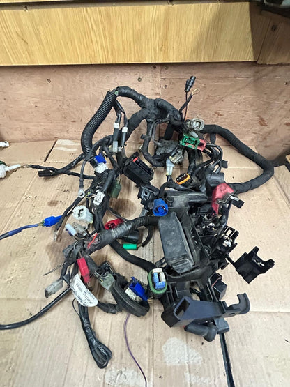 2019 KTM Duke 125 Wiring Loom Harness
