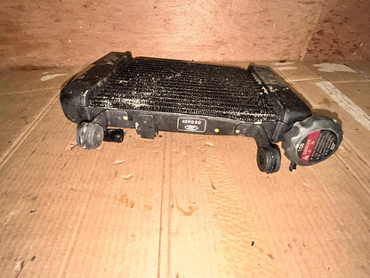 2009 Honda CBR 125 Radiator