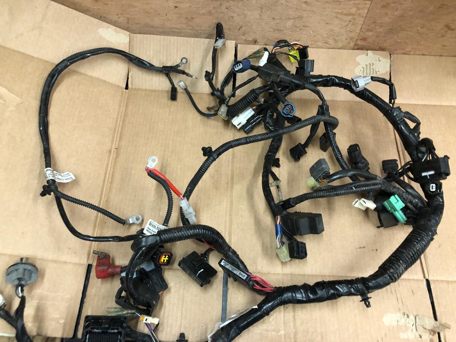 2019 Suzuki GSXR 125 Main Wiring Loom