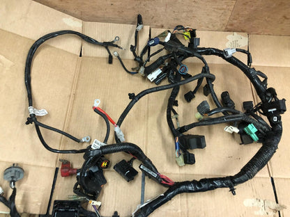2019 Suzuki GSXR 125 Main Wiring Loom