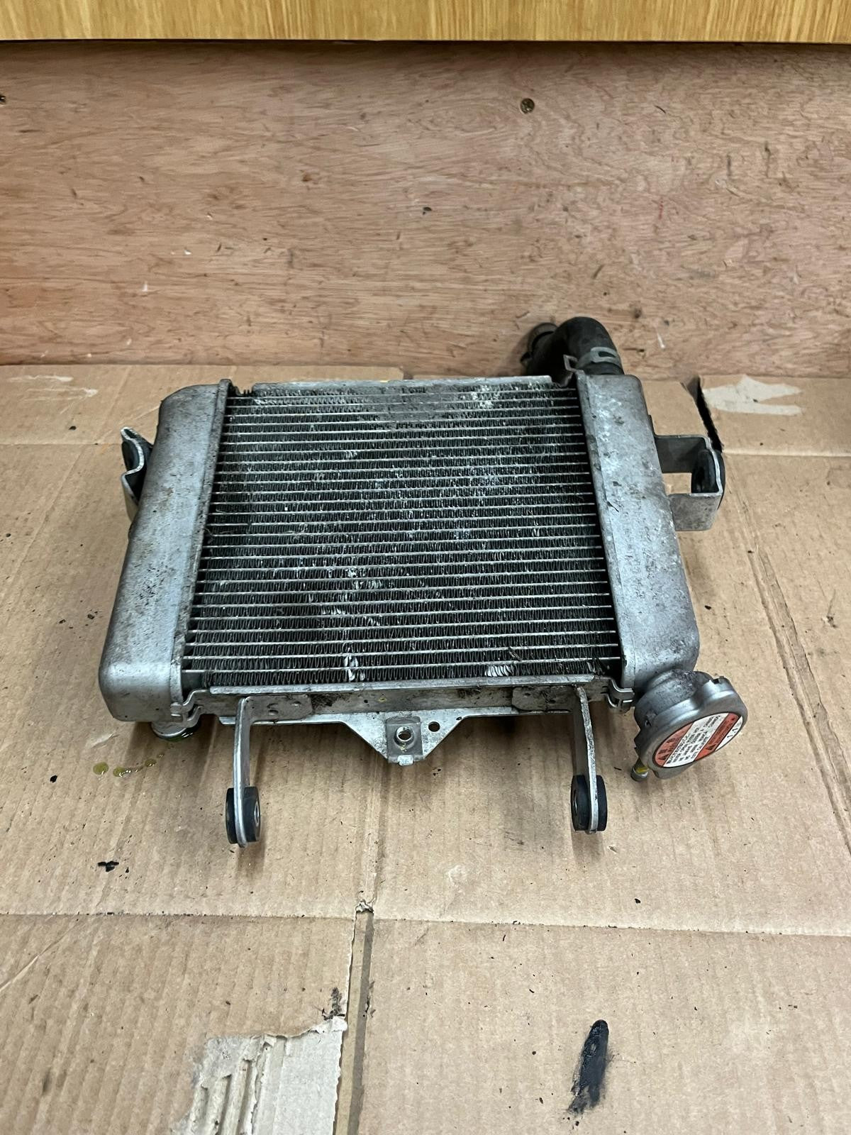 2019 Suzuki GSXR 125 Cooling Radiator
