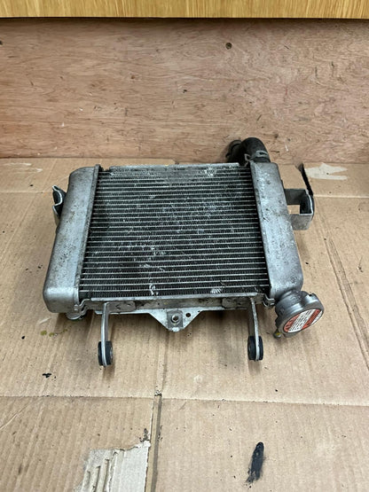 2019 Suzuki GSXR 125 Cooling Radiator