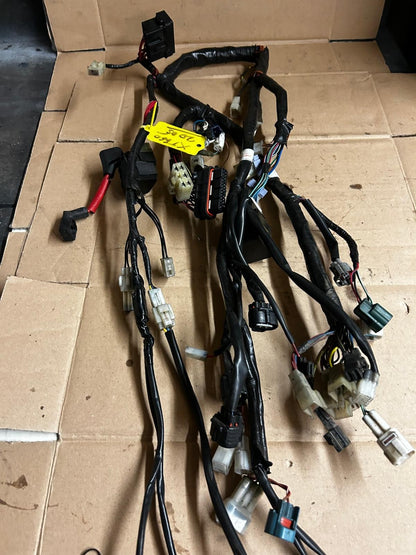 2005 Yamaha XT660 Wire Harness Wiring Loom