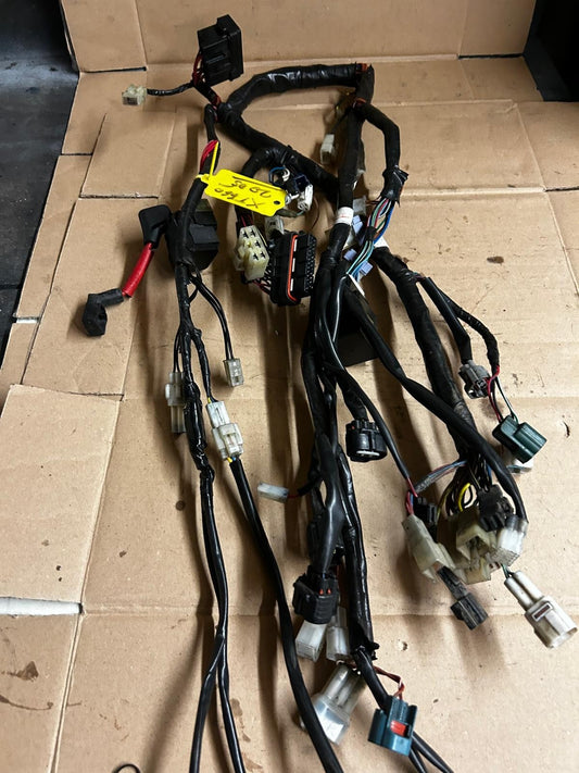 2005 Yamaha XT660 Wire Harness Wiring Loom