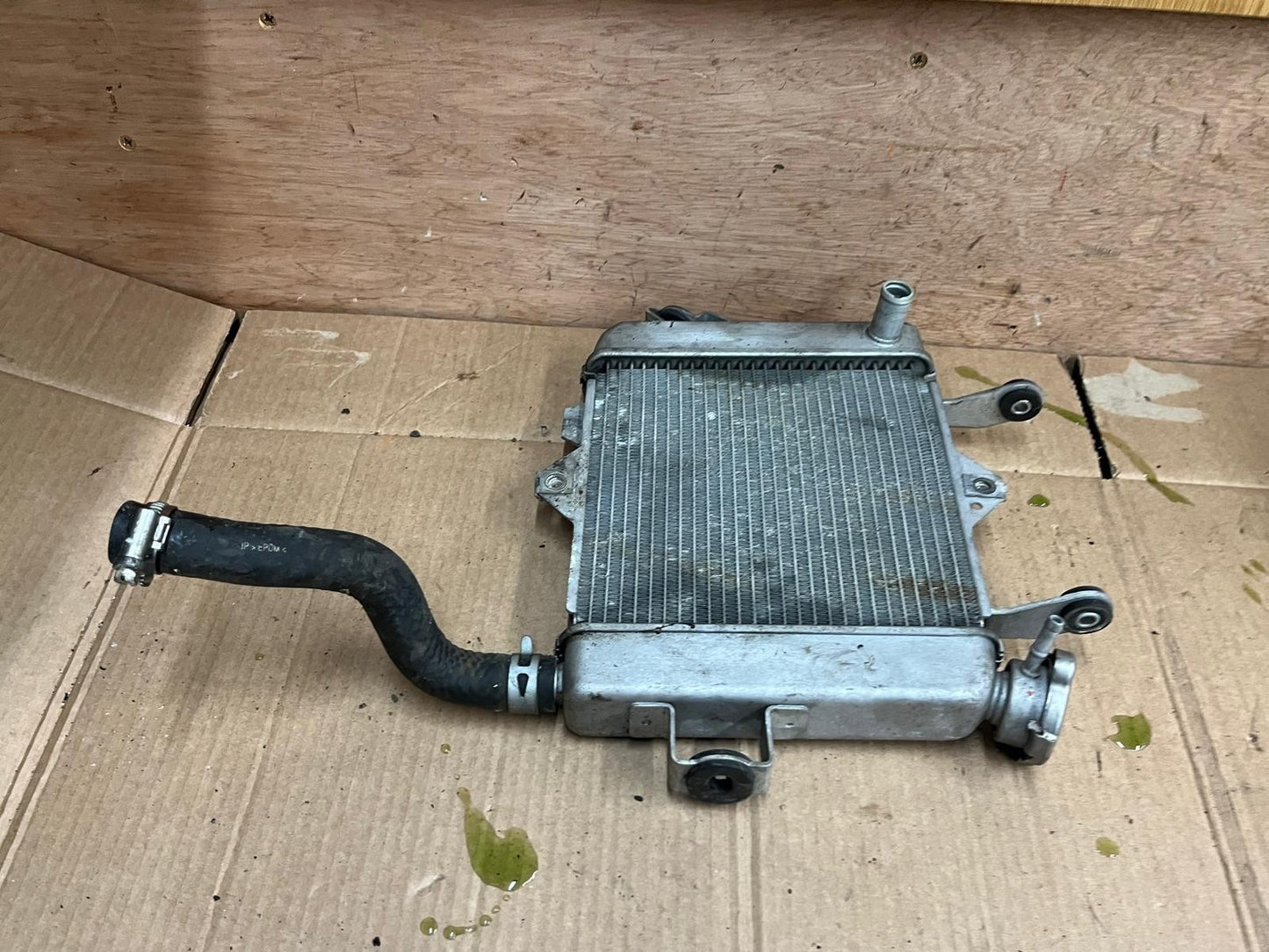 2019 Suzuki GSXR 125 Cooling Radiator