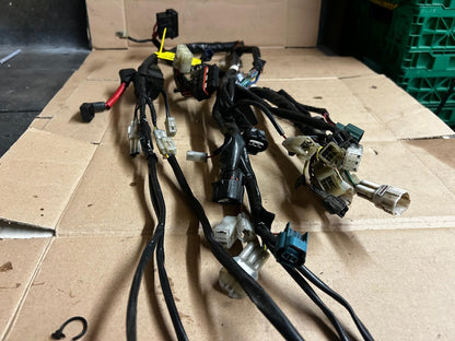 2005 Yamaha XT660 Wire Harness Wiring Loom