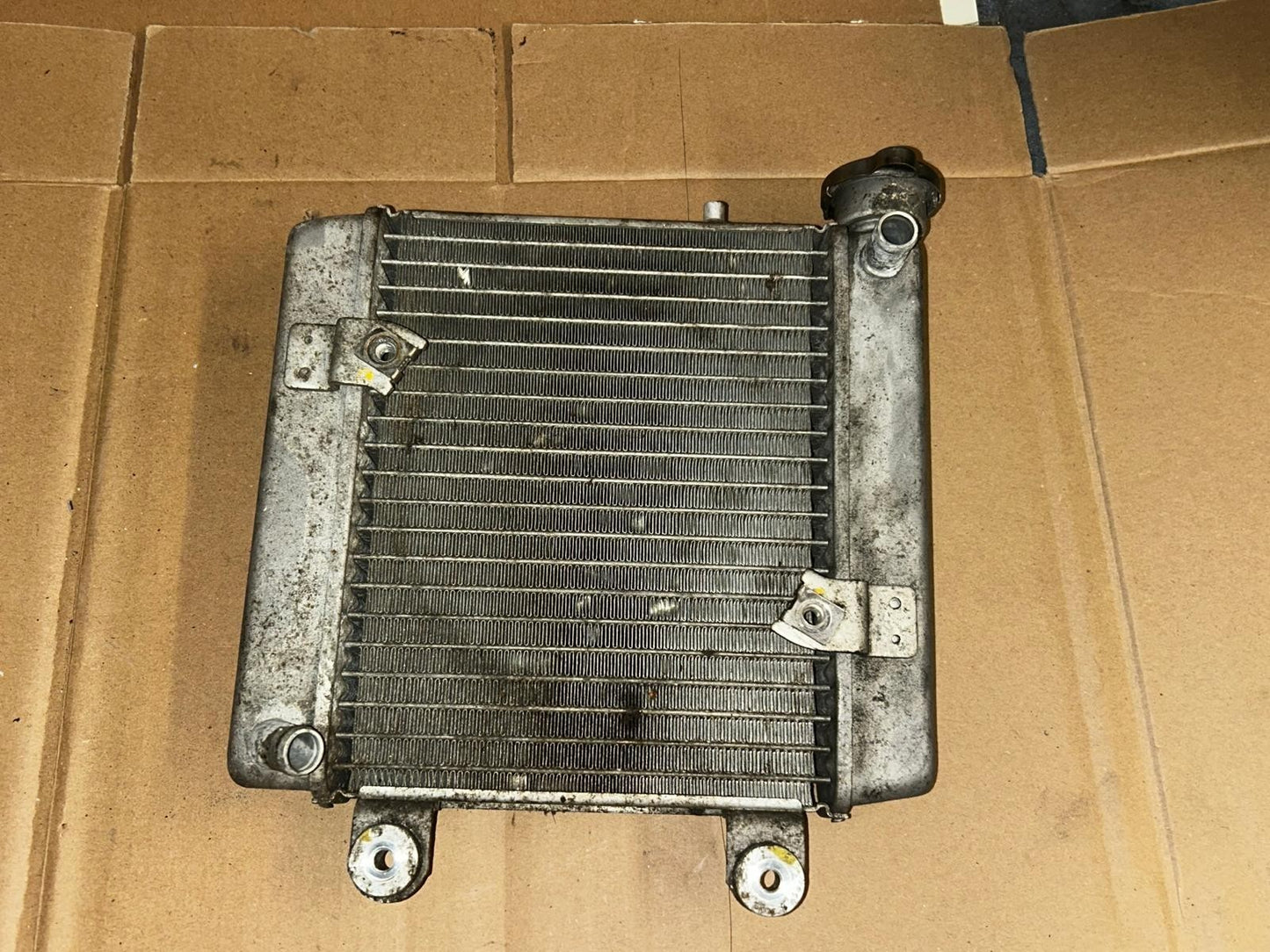 2011 Honda S-Wing Radiator