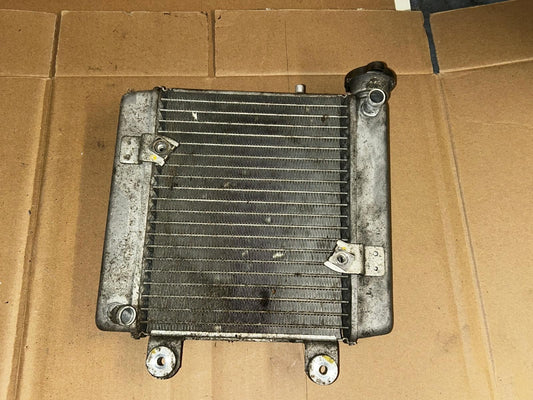 2011 Honda S-Wing Radiator