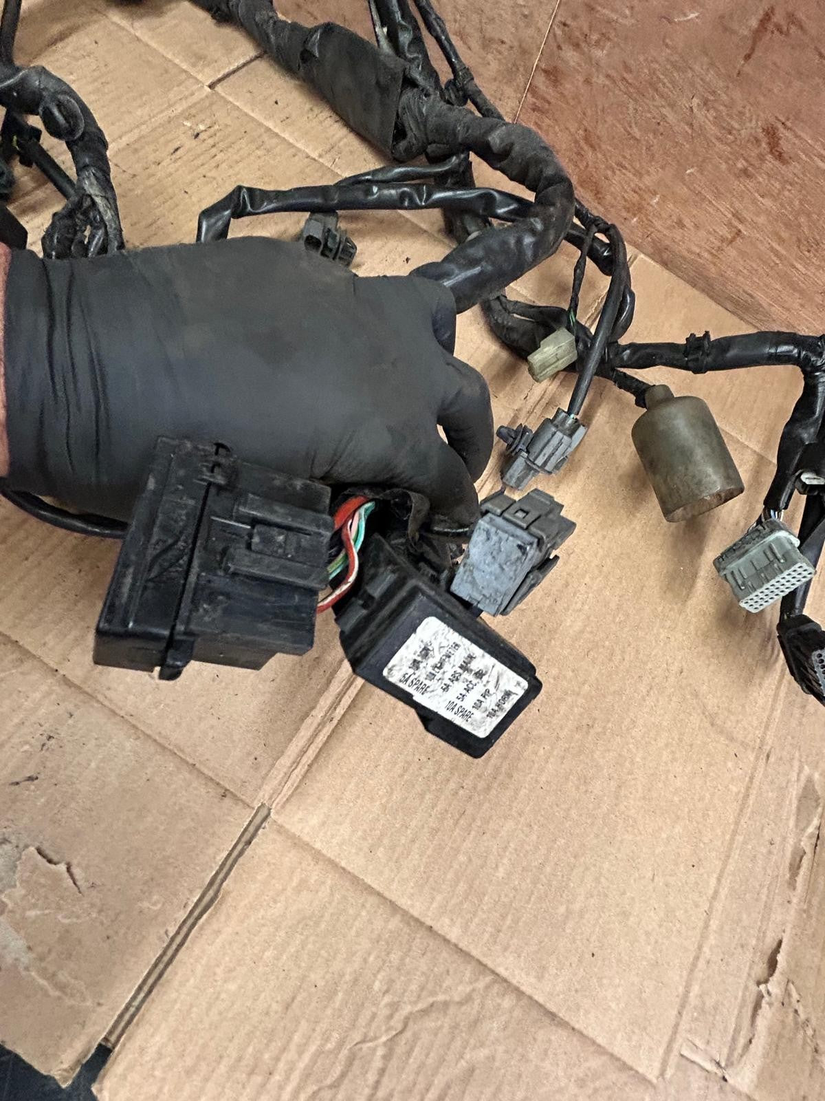 2019 Honda SH300 Wiring Loom Harness | 32100-K53-DH01