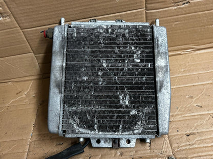 2009 Piaggio MP3 125 Radiator ONLY