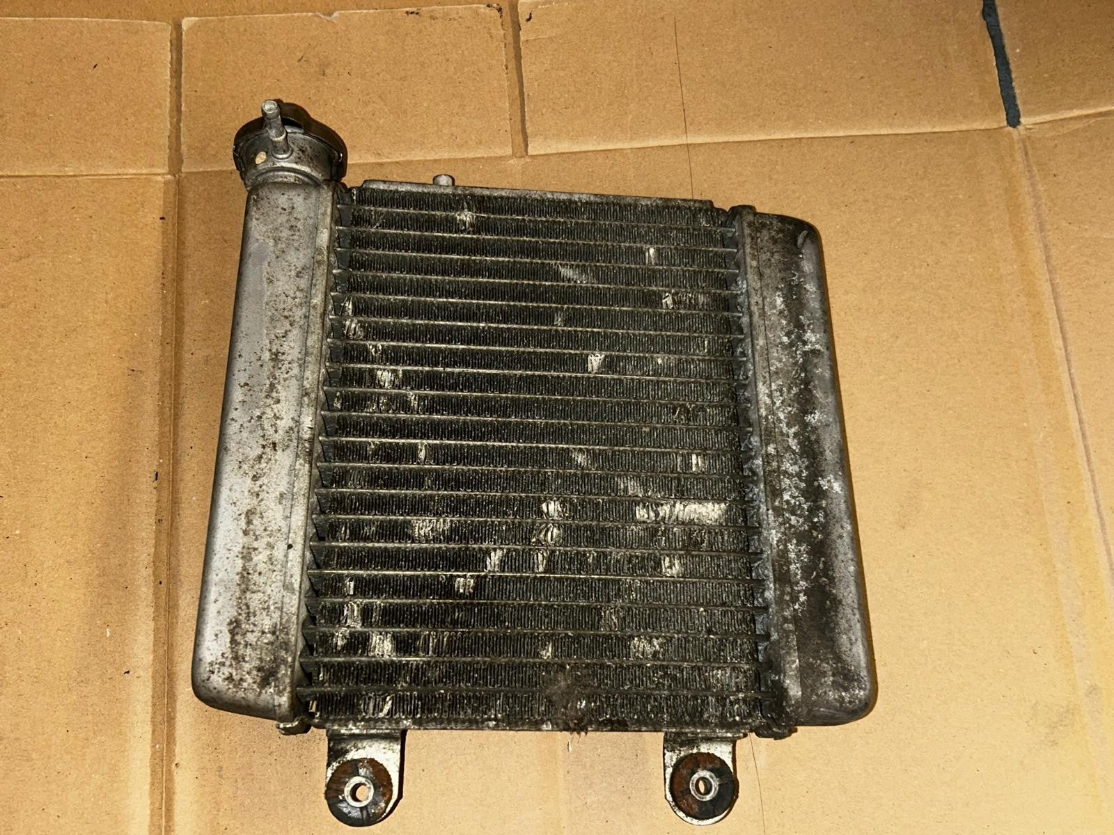 2011 Honda S-Wing Radiator