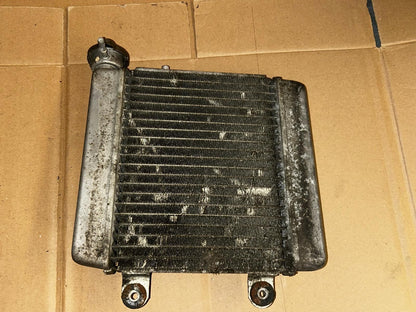 2011 Honda S-Wing Radiator