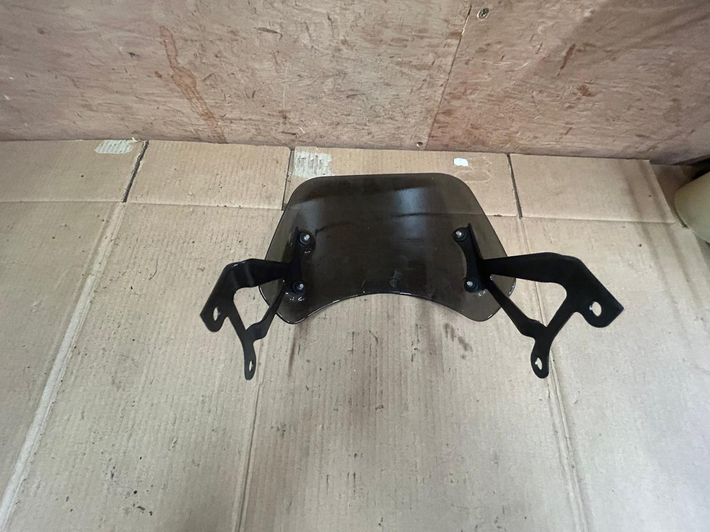2019 Triumph Bonneville T100 Dark Tinted Summer Screen