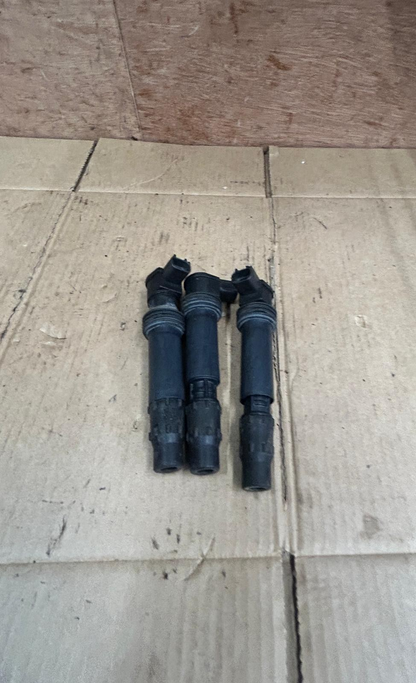 Triumph Daytona Ignition Coils | 129700-5020