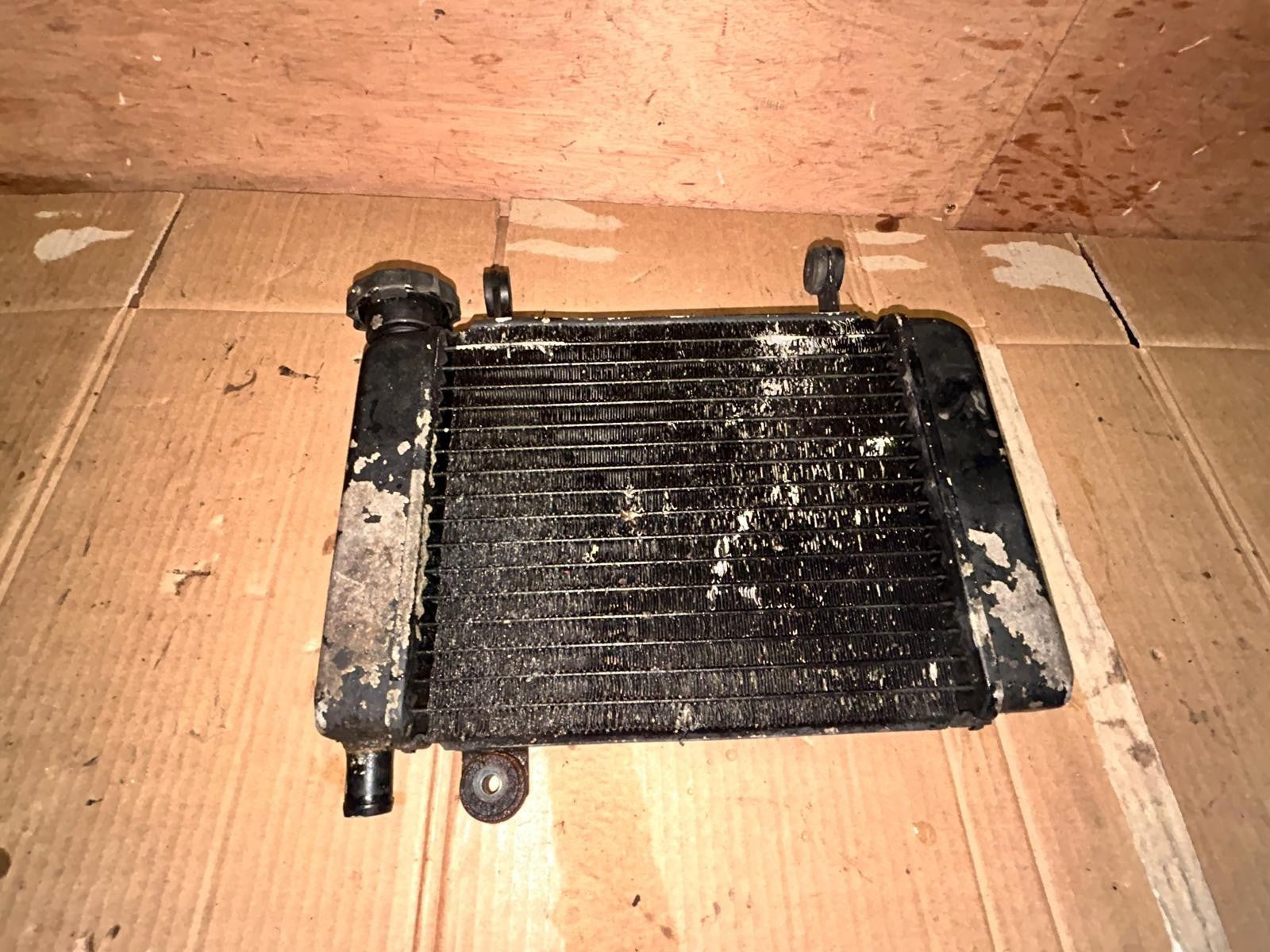 2009 Honda CBR 125 Radiator