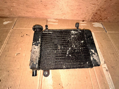 2009 Honda CBR 125 Radiator