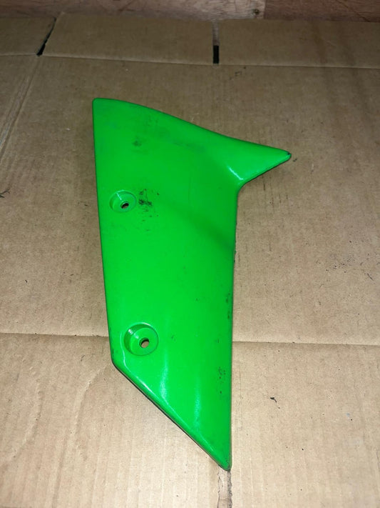 Kawaskaki ZX10R Front Fender Mudguard Panel