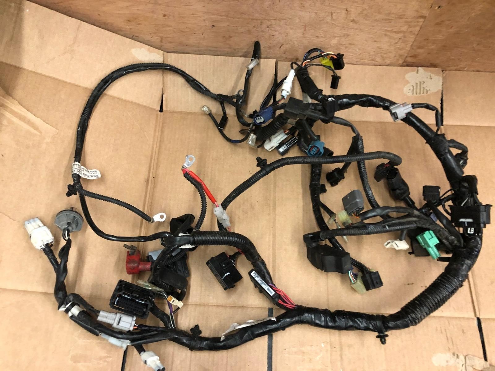 2019 Suzuki GSXR 125 Main Wiring Loom