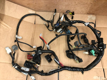 2019 Suzuki GSXR 125 Main Wiring Loom