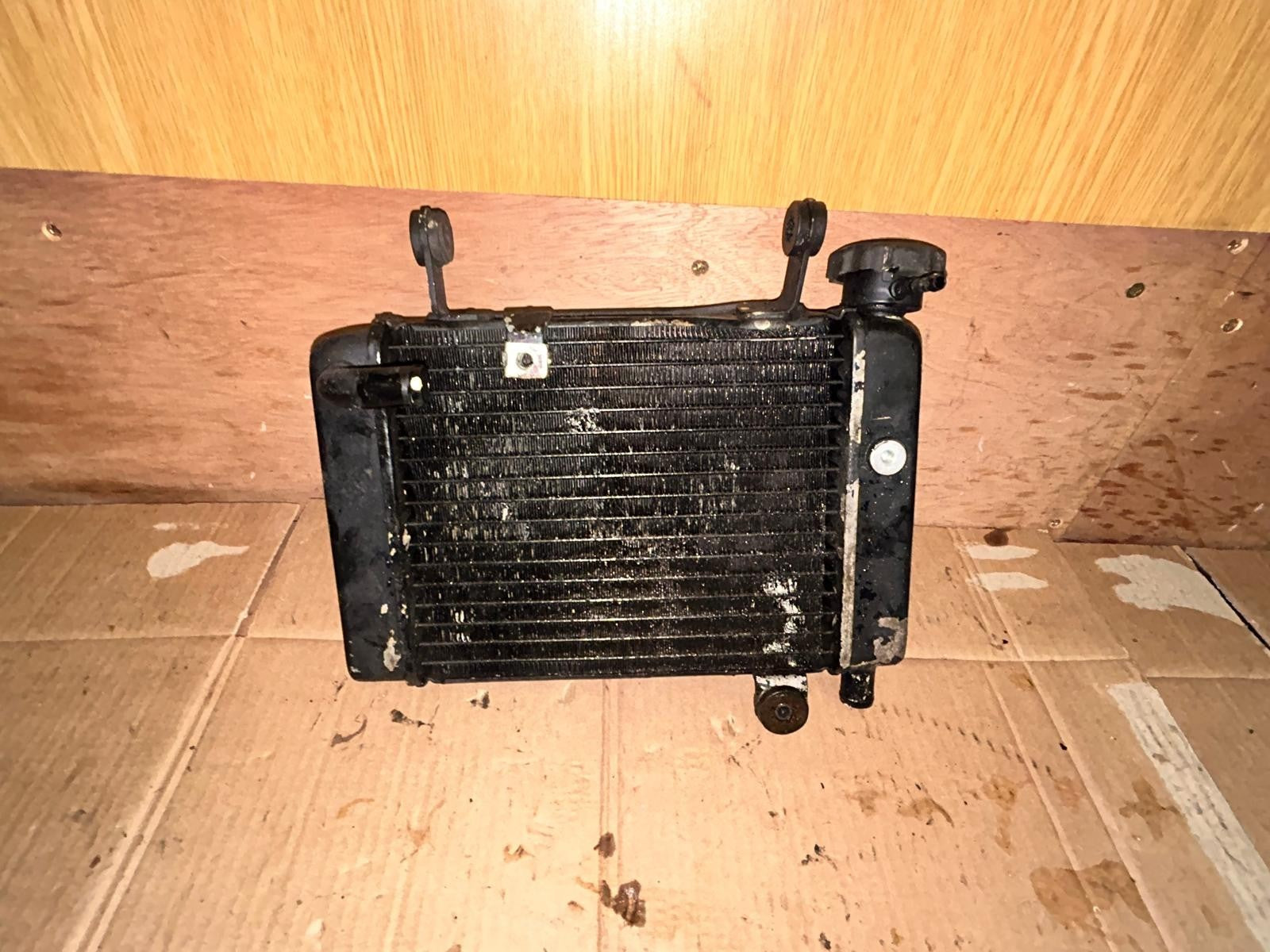 2009 Honda CBR 125 Radiator