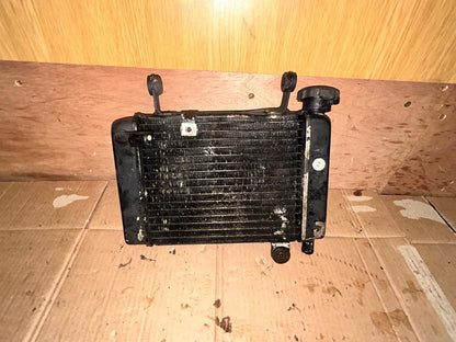 2009 Honda CBR 125 Radiator
