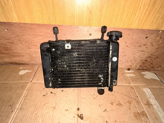 2009 Honda CBR 125 Radiator