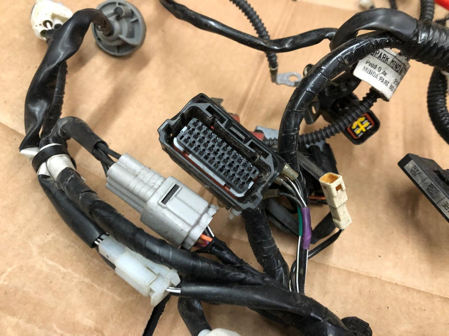 2019 Suzuki GSXR 125 Main Wiring Loom