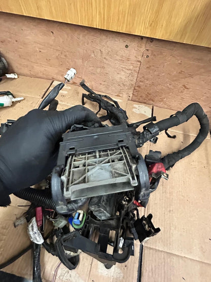2019 KTM Duke 125 Wiring Loom Harness