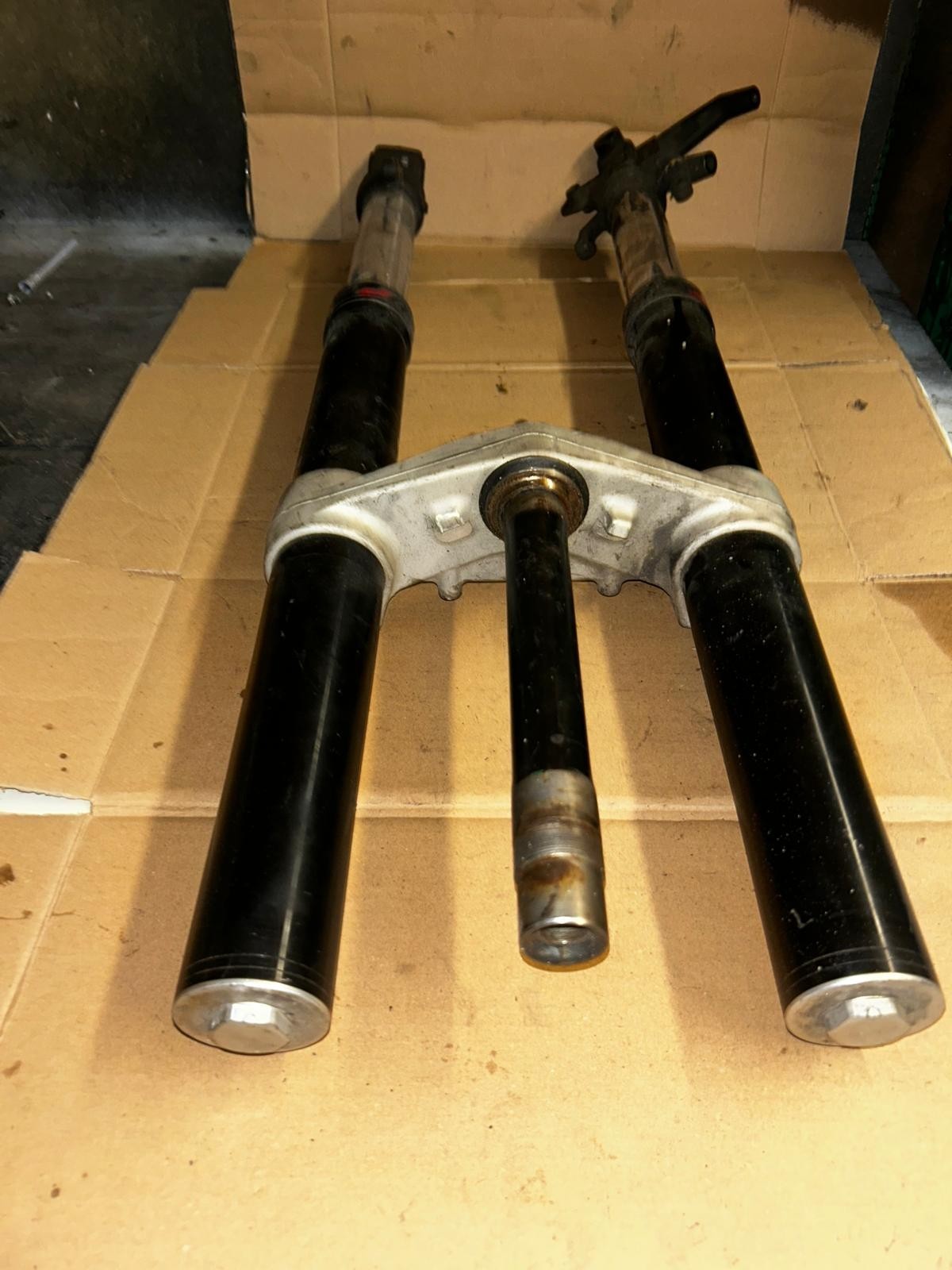 2012 - 2017 KTM Duke 200 Front Fork Suspension | 100235