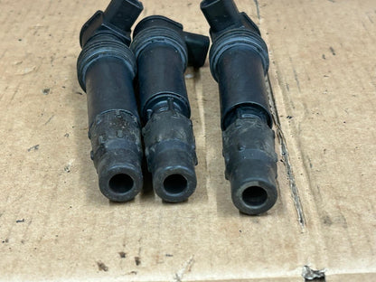 Triumph Daytona Ignition Coils | 129700-5020