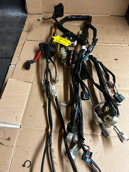 2005 Yamaha XT660 Wire Harness Wiring Loom