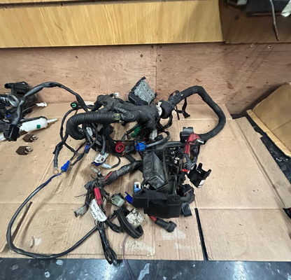 2019 KTM Duke 125 Wiring Loom Harness